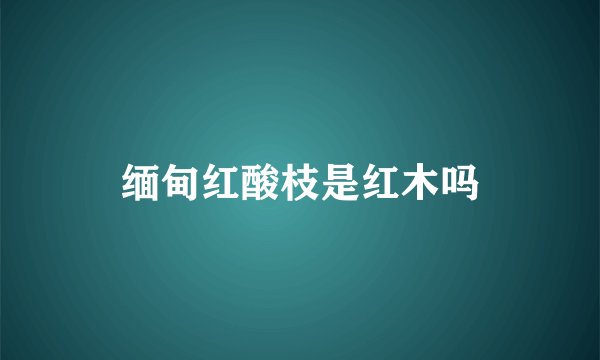 缅甸红酸枝是红木吗