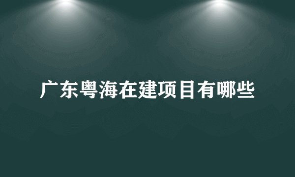 广东粤海在建项目有哪些