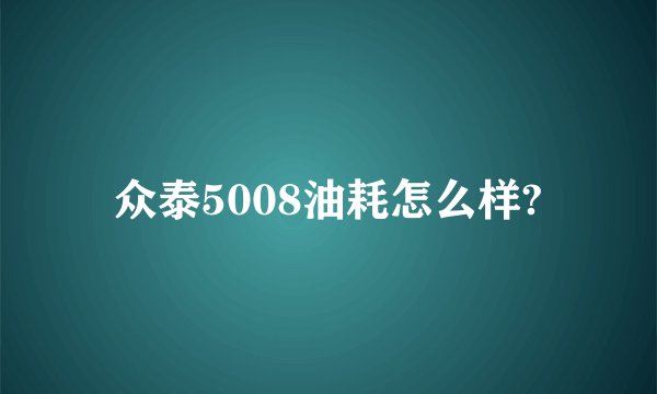 众泰5008油耗怎么样?
