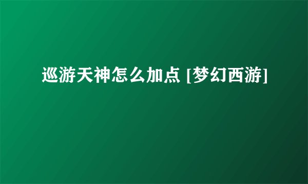 巡游天神怎么加点 [梦幻西游]