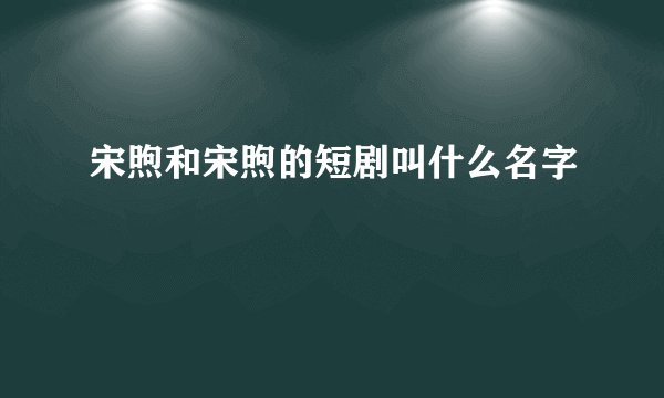 宋煦和宋煦的短剧叫什么名字