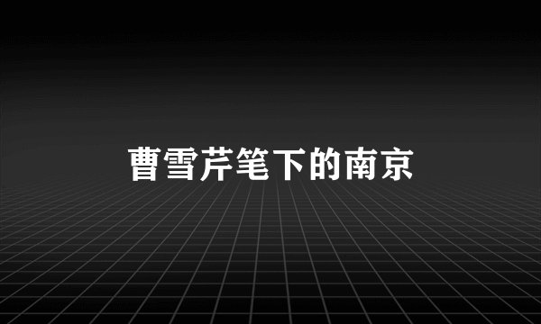曹雪芹笔下的南京