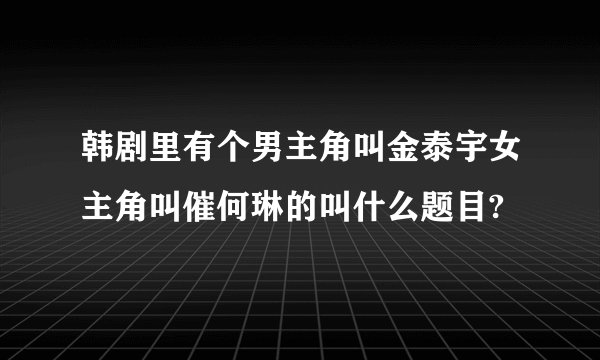 韩剧里有个男主角叫金泰宇女主角叫催何琳的叫什么题目?