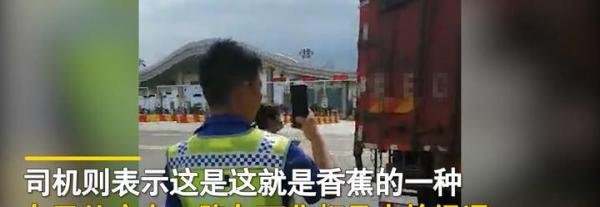 男子拉一车苹果蕉走绿通被拒 这是咋情况?