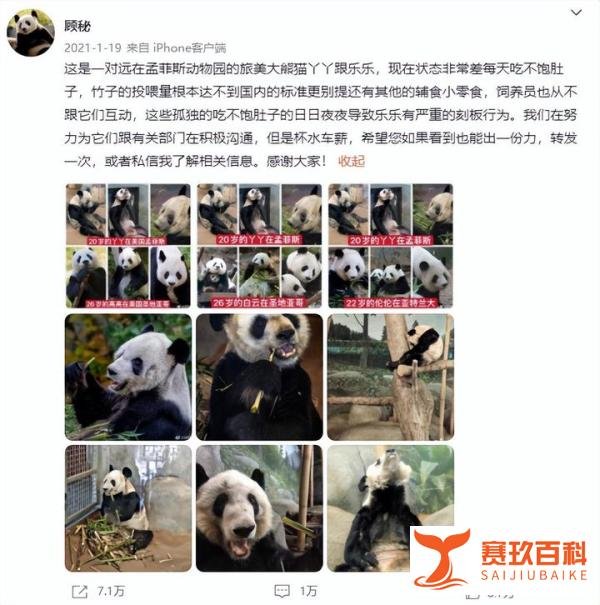 大熊猫丫丫回国仍在等美国审批，难道美国只准备还给我们遗体吗？
