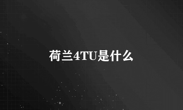 荷兰4TU是什么