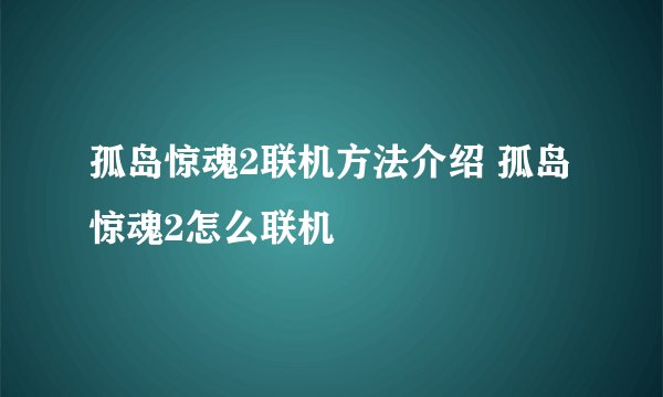 孤岛惊魂2联机方法介绍 孤岛惊魂2怎么联机