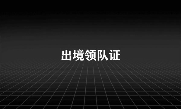 出境领队证