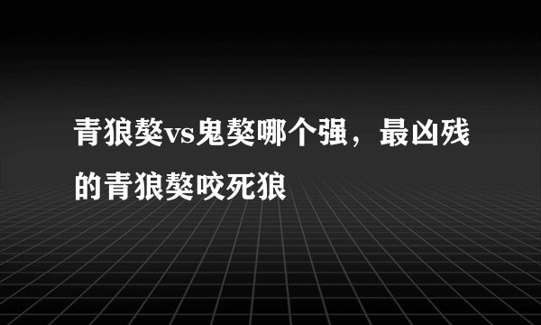 青狼獒vs鬼獒哪个强，最凶残的青狼獒咬死狼