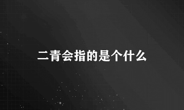 二青会指的是个什么