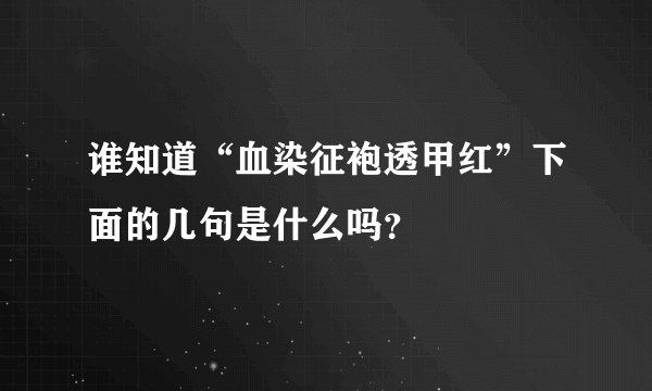 谁知道“血染征袍透甲红”下面的几句是什么吗？