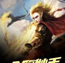 主角是赵晨飞 , 郑红嫣 的小说叫什么名字？《全职妙手 》