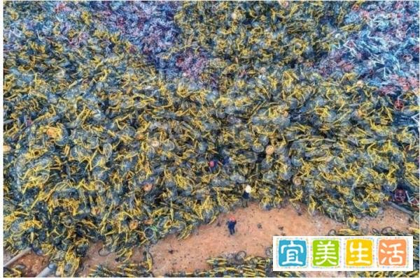 网约车老总自杀背后,三大真相值得警惕!