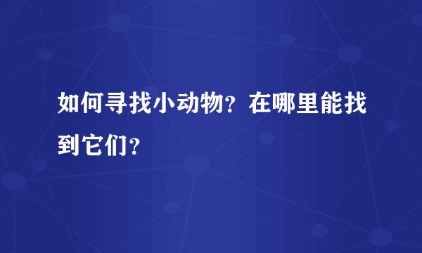如何寻找小动物？在哪里能找到它们？