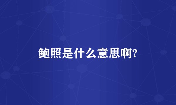 鲍照是什么意思啊?