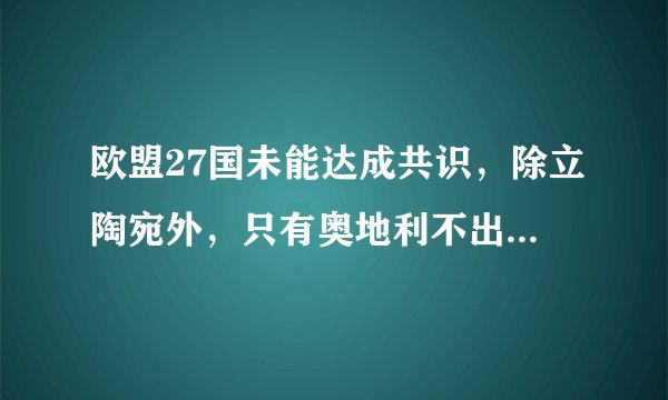 欧盟27国未能达成共识，除立陶宛外，只有奥地利不出席北京冬奥会