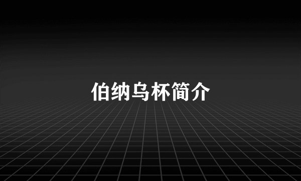 伯纳乌杯简介