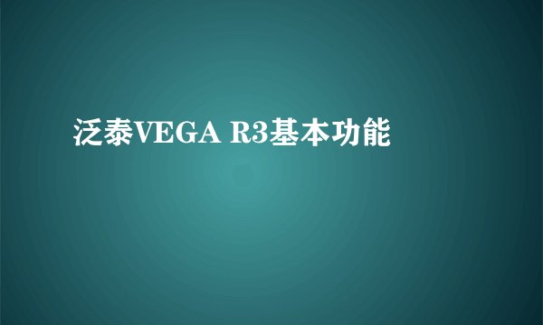泛泰VEGA R3基本功能