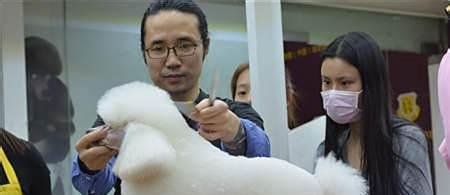 没基础学宠物美容技术难不难呢?