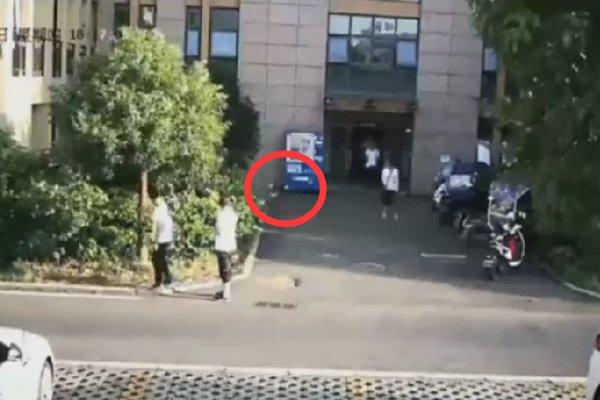女子13楼扔电饭锅被采取刑事强制措施，有什么隐情吗？