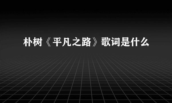 朴树《平凡之路》歌词是什么