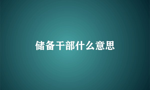 储备干部什么意思