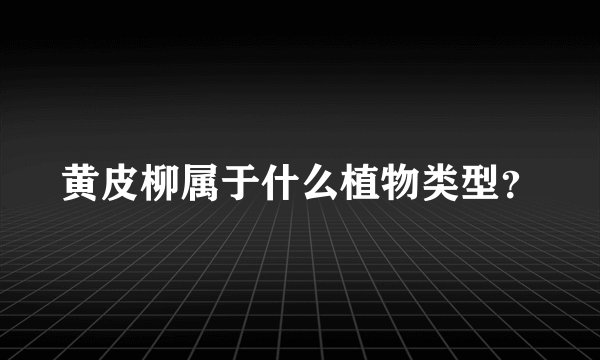 黄皮柳属于什么植物类型？
