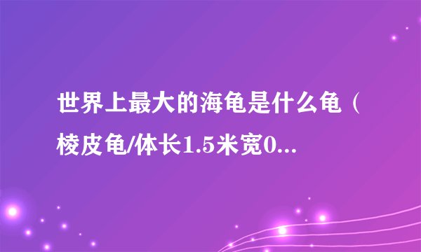 世界上最大的海龟是什么龟（棱皮龟/体长1.5米宽0.9米）