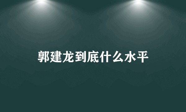 郭建龙到底什么水平
