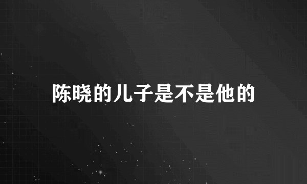 陈晓的儿子是不是他的