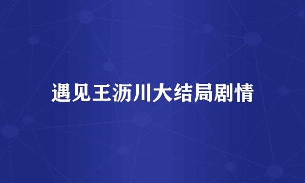 遇见王沥川大结局剧情
