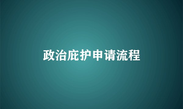 政治庇护申请流程
