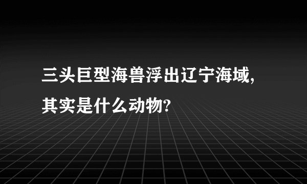 三头巨型海兽浮出辽宁海域,其实是什么动物?
