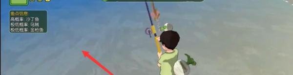小森生活沙丁鱼攻略