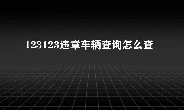 123123违章车辆查询怎么查