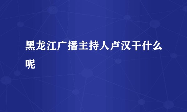 黑龙江广播主持人卢汉干什么呢