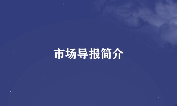 市场导报简介