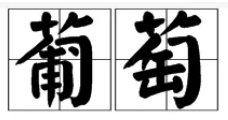 葡萄的葡有哪些词组？