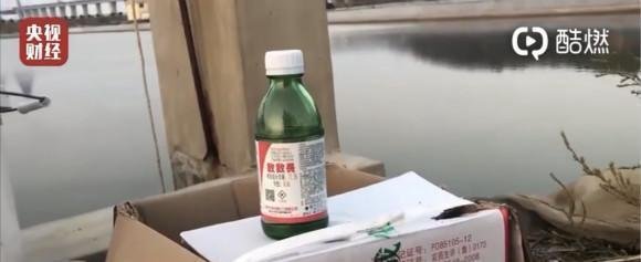 养海参整箱放敌敌畏，其实营养价值还不如鸡蛋，不要再花冤枉钱