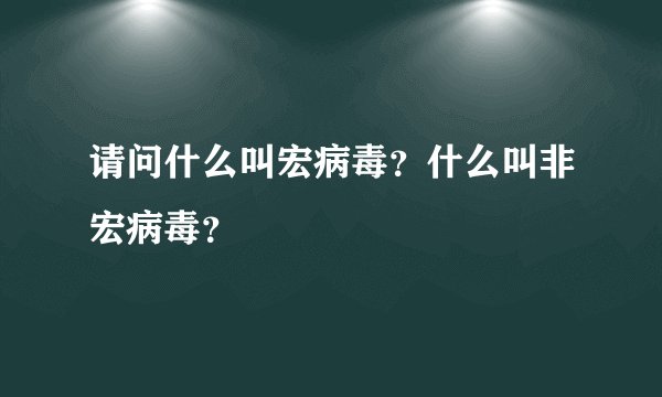 请问什么叫宏病毒？什么叫非宏病毒？