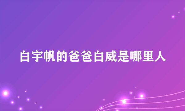 白宇帆的爸爸白威是哪里人