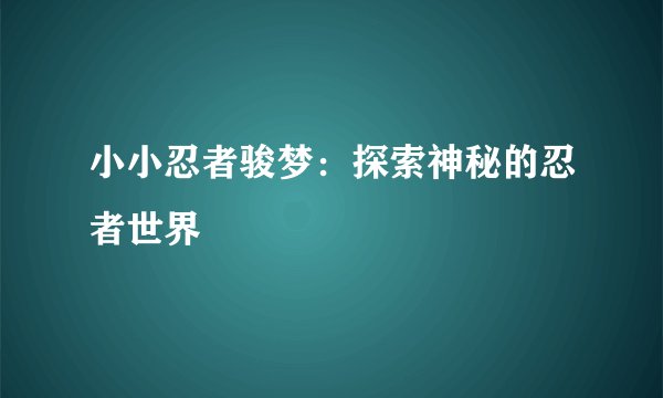 小小忍者骏梦：探索神秘的忍者世界