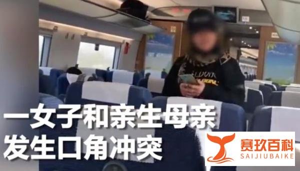 女子高铁训母惹众怒，反怼乘客弃母下车