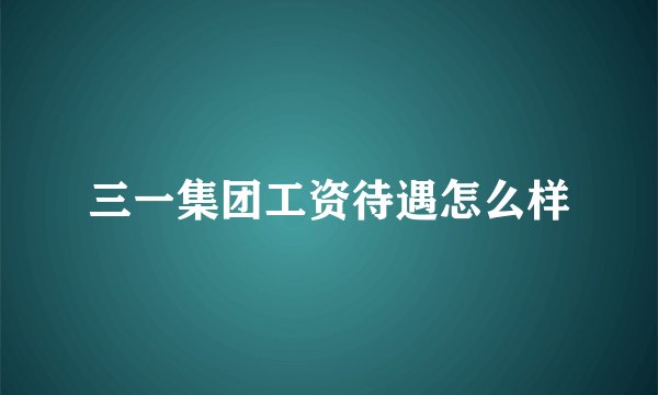 三一集团工资待遇怎么样