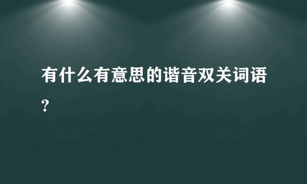 有什么有意思的谐音双关词语?