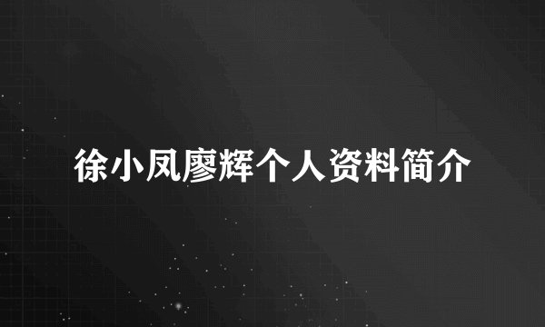 徐小凤廖辉个人资料简介