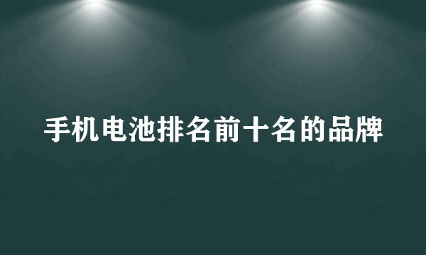 手机电池排名前十名的品牌