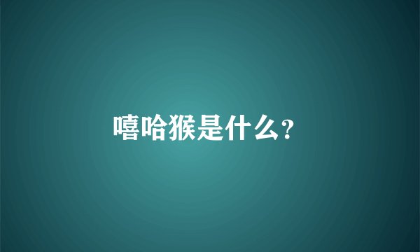 嘻哈猴是什么？