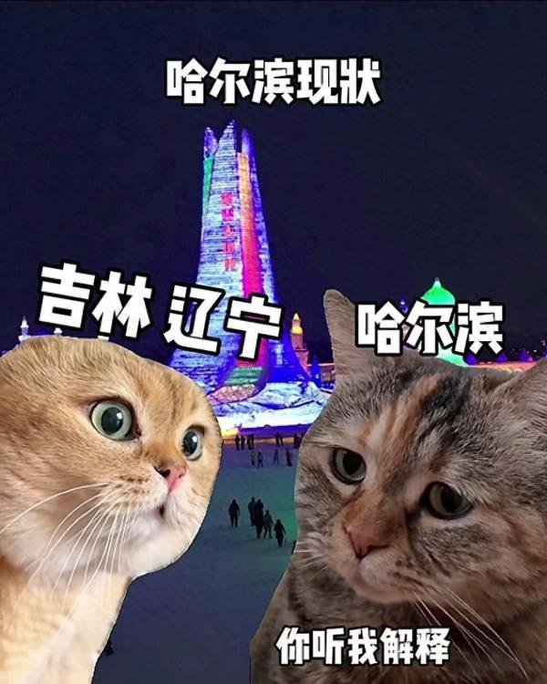 “尔滨,你让我感到陌生……”是什么梗?