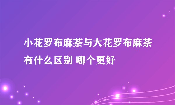 小花罗布麻茶与大花罗布麻茶有什么区别 哪个更好